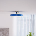 Flush Mount Ceiling Light, Isla Wide Diffuser, LED, Dimmable, 6 Colours
