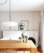 Opal Disc Pendant Light, Opalescent Shade, Black or White, E26/E27