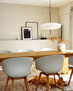 Opal Disc Pendant Light, Opalescent Shade, Black or White, E26/E27
