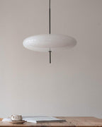Opal Disc Pendant Light, Opalescent Shade, Black or White, E26/E27