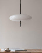 Opal Disc Pendant Light, Opalescent Shade, Black or White, E26/E27
