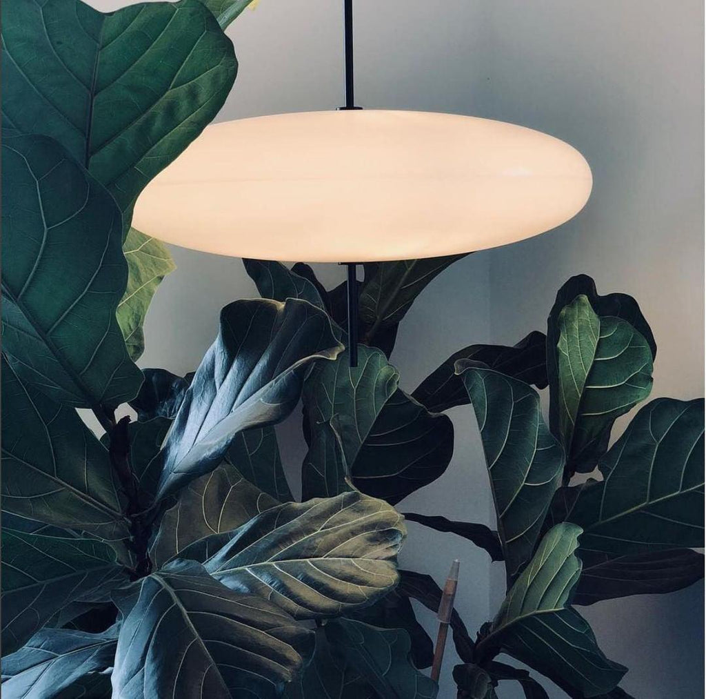 Opal Disc Pendant Light, Opalescent Shade, Black or White, E26/E27