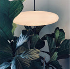 Opal Disc Pendant Light, Opalescent Shade, Black or White, E26/E27