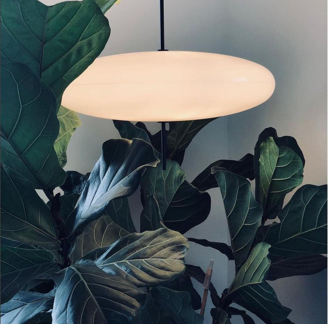 Opal Disc Pendant Light, Opalescent Shade, Black or White, E26/E27