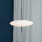Opal Disc Pendant Light, Opalescent Shade, Black or White, E26/E27